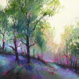 1293 Wildwood 4, Gillfield