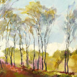 1303 Birches, Stanton Moor