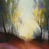 1305 Morning Light, Gillfield Woods