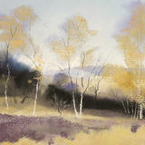 1308 Autumn, Birchen Edge