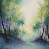 1329 Wildwood 7, Morning