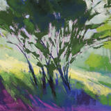 1524 Edge of the Wood, High Summer