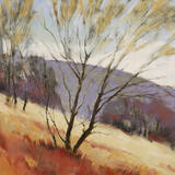 1550 Of Wind and Deer