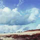 086 Rowsley Moor - Midday Feb