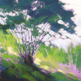 1522 Summer Light, Blackamoor