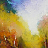 1478 Pathway into Gillfield Woods