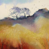 1409 Crow Flight, Storth