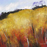 1330 Autumn Birches, Storth