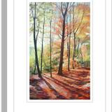 507 Autumn Woodland, Gillfield