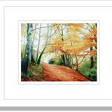 509 Woodland, Autumn