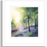 1335 May, Gillfield Woods