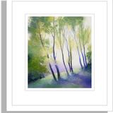 1360 In the Still of the Morning