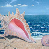 My Sea Shells