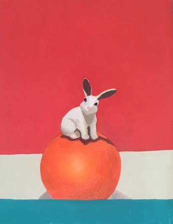 Rabbit on Orange Ball 
