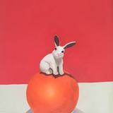 Rabbit on Orange Ball 