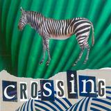 Zebra Crossing