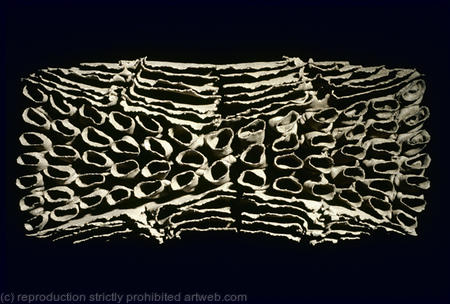 There is Safety in Numbers:  The Celia Series