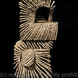 Double Monologues I:  Celia Series