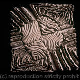 The Inner Core: The Celia Series