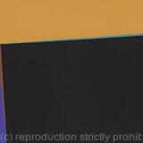 Burn:  Wildfire Series