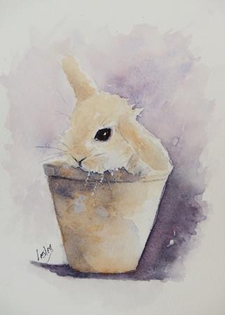 Bunny in a pot AVAILABLE 