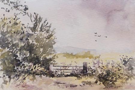 Risby Warren in Lincolnshire  Available 