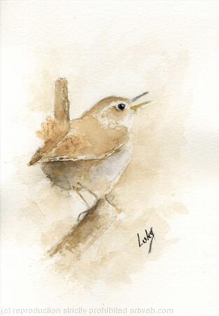 Wren 1  SOLD 