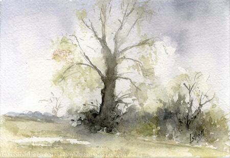  Alkborough Flats Available 