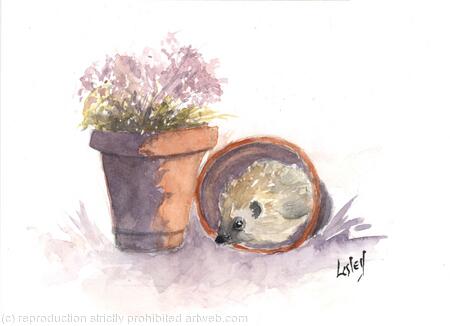 No 113 Hedgehog SOLD 