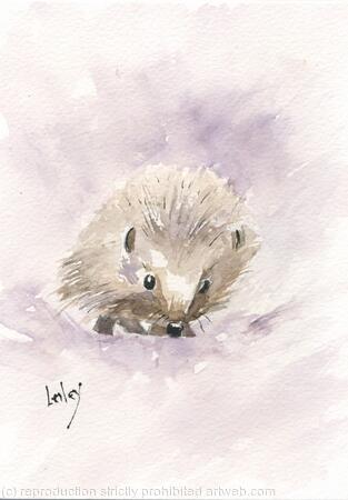No 114 Hedgehog AVAILABLE