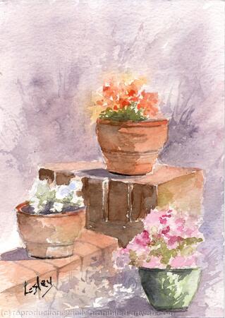 My Garden pots Available 