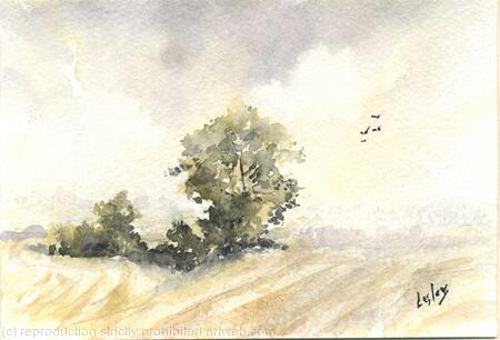 Lincolnshire Wolds SOLD 