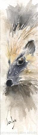 Hedgehog Bookmark No 5 AVAILABLE 