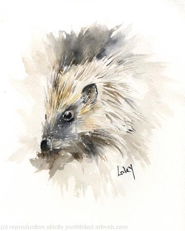 No 135 Hedgehog AVAILABLE 