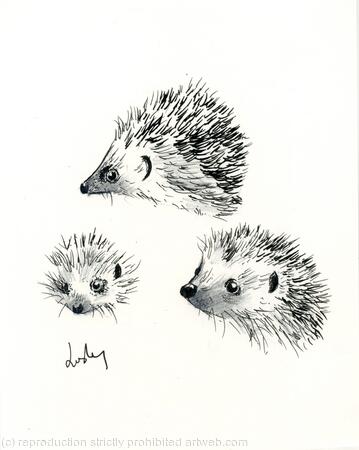 No 121 Hedgehogs AVAILABLE 