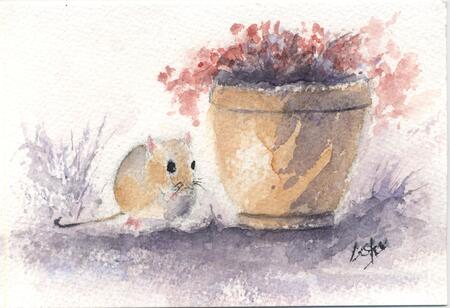 Monty mouse AVAILABLE 