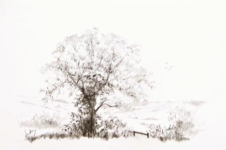 Lincolnshire Wolds AVAILABLE 