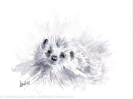 Hedgehog SOLD 