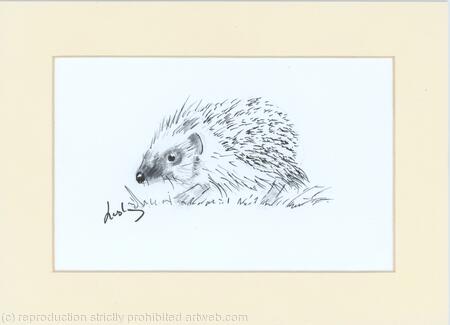 No 147 Hedgehog DONATED 