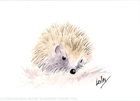 No 153 Hoglet AVAILABLE 