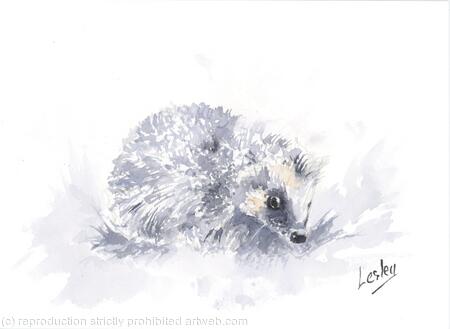 No 154 Hedgehog AVAILABLE 