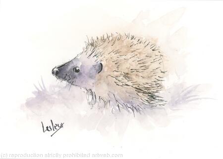 No 157 Hoglet DONATED 