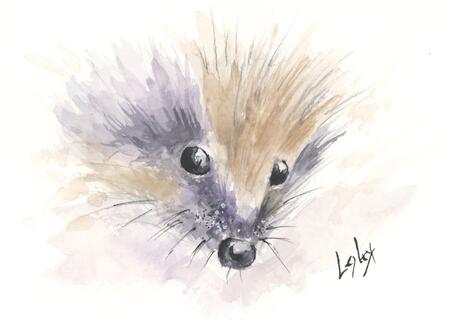 No 159 Hedgehog AVAILABLE 