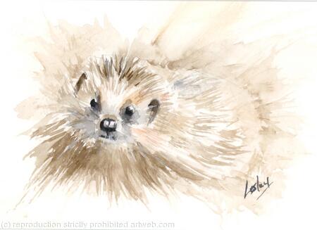 No 170 Hedgehog AVAILABLE 