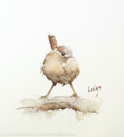 Wren with Attitude Available  