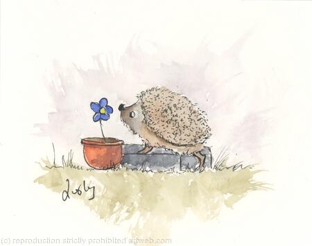 HETTi hoglet No 183 SOLD 