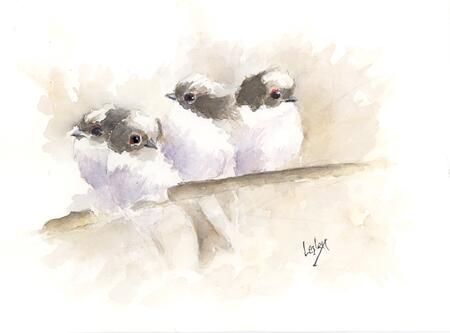 Long Tailed Tits AVAILABLE 