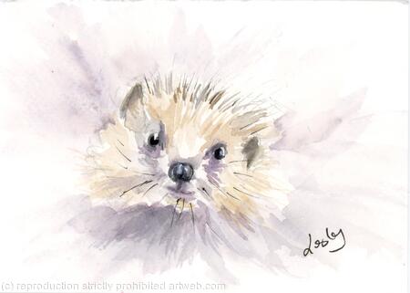 Hedgehog  No 186 AVAILABLE 