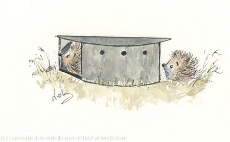 HETTi  & HARRi No 190 AVAILABLE 