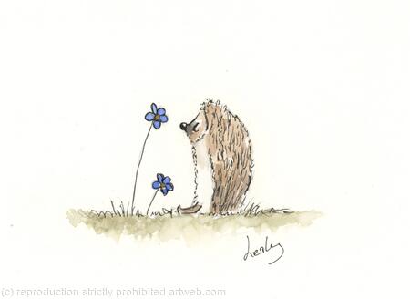 No 196 Hedgehog AVAILABLE 